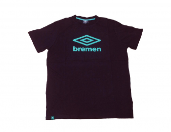 SV Werder Bremen T-Shirt Icon II Umbro