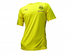 Borussia Dortmund Trikot Training Yellow Puma 2018/19